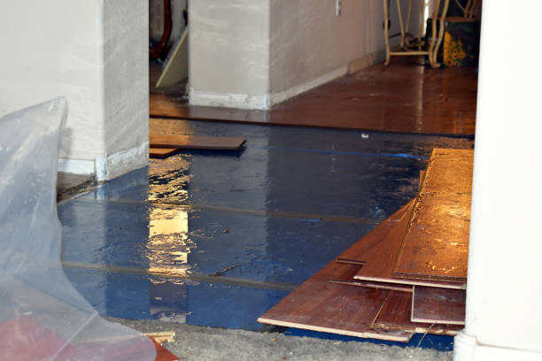 Professional Basement Flood Cleanup technician working in Shady Side, MD